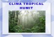 CLIMA TROPICAL HUMIT - WordPress.comsanostraclasse.files.wordpress.com/2016/11/clima-tropical-humit-vc3adctor-i...VEGETACIÓ SABANA FAUNA. SITUACIÓ Aquest clima es troba entre les