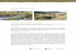 Plans al luvials del riu Segre - Cilma i... · 1.610,66 ha. Lles de Cerdanya, Montellà i Martinet, Prullans, Bellver de Cerdanya, Prats i Sansor, Isòvol, Das, Fontanals de Cerdanya,