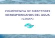 CONFERENCIA DE DIRECTORES IBEROAMERICANOS ......La CODIA surge como instrumento técnico de apoyo al Foro Iberoamericano de Ministros de Medio Ambiente, en su primera edición celebrada