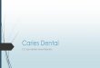 Caries Dental · La caries dental es el término utilizado para los cambios anatomopatológicos de los tejidos dentales duros A. Van Leeuwenhoek, Holanda. Ya en la década de 1650