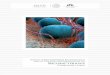 Micobacteriosis - epidemiologia.salud.gob.mx · Febrero, 2019. Manual de Procedimientos Estandarizados para la Vigilancia Epidemiológica de las Micobacteriosis (Tuberculosis y Lepra)