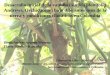 Andrews, Orchidaceae) bajo diferentes usos de la tierra y … MESAS/… · fotosíntesis, respiración y transpiración. Área de estudio bs-T, 180 m 10 14’N-74 16’W San Ángel,