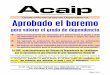 Desarrollo de la Ley de Dependencia - Portal web de ACAIP · 2008-12-22 · de dependencia de los ciudadanos e incluye a todos los tipos de discapacidad. ÎSe valorará la autonomía