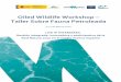 Oiled Wildlife Workshop – Taller Sobre Fauna PetroleadaLIFE15 IP ES012 – INTEMARES Acción C8 - Medidas de capacitación y formación para la aplicación del MAP ... protocolos