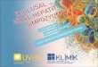 Viral Hepatitlerde Karaciğer Dışı Tutulumların Yönetimi · Oral LP: HCV ilişkisi en çok araştırılan ve iyi tanımlanmış ... disfonksiyonu (hipotiroidi) için iyi tanımlanmış