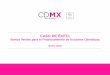 CASO DE ÉXITO - IKI Allianceiki-alliance.mx/wp-content/uploads/CDMX.-Bonos-Verdes.pdf · sustentables, así como su monitoreo, reporte y verificación. Garantizar la implementación