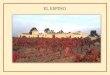 EL ESPINO - Medio Ambientestatic.medioambiente-almansa.es/.../sec2/215_ELESPINO.pdf · 2018-01-28 · EL ESPINO . egetación Monte Alto X Pino carrasco Monte Alto Cereal, Monte Bajo