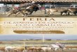 FERIA DE MANEJO€¦ · FERIA DE MANEJO DE GANADO CON CABALLOS El próximo mes de junio, se celebrará la feria de manejo de ganado a caballo, en la localidad de Sarvisé (Huesca)