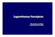 9.- Leguminosas Forrajeras [Modo de compatibilidad]praderasypasturas.com/files/menu/catedras/praderas_y... · 2013-02-21 · Trifolium incarnatum+ Tretone 4,65 abc 8,99 ab Trifolium