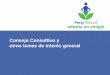 Consejo Consultivo y algunos temas importantes - PERAJ · 2018-06-20 · Consejo Consultivo Composición del Consejo • Presidente, Secretario (Peraj México) • 1 representante