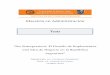 Maestría en Administración TesisTesisbibliotecadigital.econ.uba.ar/download/tpos/1502-0480... · 2016-08-18 · Tesis - Maestría en Administración Lic. Constanza Palmigiano 3
