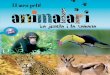 Sumari La jungla i la sabana - cossetania.com · La GIRAFA és el mamífer més alt que exis-teix. Té el coll molt llarg, igual que les seves potes, àgils i proveïdes de peülles