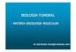 Biol Cel Tumoral 2013 [Modo de compatibilidad] · Jeghers (poliposis intestinal) Sindrome Peutz-Jeggers. Oncogene. 2007 February 26; 26(9): 1324–1337. Oncogene. 2007 February 26;