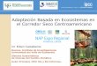 Adaptación Basada en Ecosistemas en el Corredor …napexpo.org/america-latina/wp-content/uploads/2018/10...Adaptación basada en ecosistemas (AbE) Políticas y prácticas que se basan