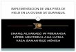 IMPLEMENTACION DE UNA PISTA DE HIELO EN LA CIUDAD ... - … · GENERALES: Determinar la factibilidad económica de la implementación de una pista de hielo en la ciudad de Guayaquil