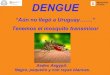 DENGUE€¦ · DENGUE El Dengue es una enfermedad viral transmitida por el mosquito Aedes Aegypti Aedes Aegypti Si tenés: - Dolores Musculares y en las articulaciones - Ardor en