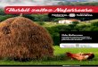 Hurbil zaitez Nafarroara - Web Oficial de Turismo de Navarra · 2020-08-02 · 15. Sanmigelada eta Transhumantzia Bardean, Zarrakaztelun 15. Arakil eta Irurtzungo bertako ganadu azoka