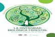 La DiverSiDaD BioLógiCa ForeSTaLcentro.paot.org.mx/documentos/pnuma/idb-2011-booklet-es.pdf · 2013-05-02 · 4 Día InternacIonal De la DIversIDaD BIológIca · la diversidad biológica