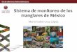 Sistema de monitoreo de los manglares de México · • Samuel Velázquez Salazar • Edgar Villeda Chávez et al. Objetivo de la presentación: Mostrar el uso de las técnicas de