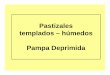 Pastizales templados – húmedos Pampa Deprimida · 1) Descripción de los pastizales de la Pampa Deprimida 2) Efectos generales de la inundación y el pastoreo 3) Modelo conceptual