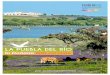 la Doñana más cercana - Ayuntamiento de La Puebla del Río · 2018-04-10 · parte de la historia natural del Aljarafe. Aljarafe y marisma. Dehesa y humedal. Pequeña Doñana. Birdwatching