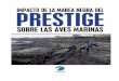 Impacto de la Marea Negra del Prestige sobre las Aves ... · Galicia todavía recibió una cuarta marea negra, cuando el 4 de enero, la Costa de la Muerte vuelve a amanecer cubierta