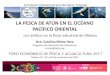 LA PESCA DE ATÚN EN EL OCÉANO PACÍFICO ORIENTAL · 2018-08-09 · • La población de atún aleta azul está sobreexplotada, hay un plan de recuperación Pesquerías sostenibles