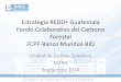 Estrategia REDD+ Guatemala Fondo Colaborativo del Carbono ... Oseida, Ministr… · 1. Fondo Colaborativo del Carbono Forestal 2. Esquema de Ejecución 3. Estructura de Gobernanza