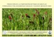 PREDICCIÓN DE LA COMPOSICIÓN BOTÁNICA DE ...- El estudio del comportamiento agronómico de mezclas de leguminosas y gramíneas es clave para obtener una proporción adecuada y equilibrada