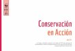 JULIO Conservación en Acciónawsassets.panda.org/downloads/cons_en_accion_1.pdf · Conservación en Acción Julio 2013 Los logros y desafíos recientes en el trabajo de WWF para