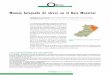 Manejo Integrado de olivar en el Baix Maestrat · Manejo Integrado de olivar en el Baix Maestrat José Fuster (Director Técnico de la Agrupación de Tratamientos Integrados en Agricultura