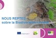 NOUS REPTES sobre la Biodiversitat forestaleforown.ctfc.cat/pdf/49.b_Nous reptes sobre la... · Cicles silvogenèticos i boscos gestionats Regeneració = disminució del nombre d’espèies=