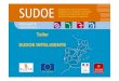 Taller SUDOE INTELIGENTE4.interreg-sudoe.eu/contenido-dinamico/libreria-ficheros/34B5719C-9… · Taller. SUDOE INTELIGENTE. De SUDOE 2007-2013 a la Estrategia 2020 . Crecimiento