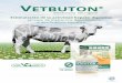 Estimulación de la actividad hepato-digestiva en caso de ... · Vetbuton 100 mg/ml solución inyectable para bovino, ovino, caprino, porcino y equinos. Sustancia activa: Menbutona