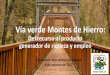 Vía verde Montes de Hierro€¦ · Programa Hibrilaldiak – Capital Cultural Donostia 2016 Objetivo: Socializar el proyecto . Hacer grupo . Programa Hibrilaldiak . Programa Hibrilaldiak
