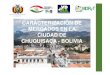 CARACTERIZACION DE MERCADOS EN LA CIUDAD DE CHUQUISACA ... · •El departamento de Chuquisaca cuenta con 10 provincias y 29 Municipios . Las provincias con mayor potencial productivo