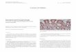 Cartas al Editor - ISCIIIscielo.isciii.es/pdf/diges/v109n1/es_carta2.pdf · 2017-07-05 · 2017, Vol. 109, N.º 1 CARTAS AL EDITOR 81 REV ESP ENFERM DIG diferenciación plasmocítica,