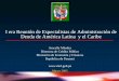 I era Reunión de Especialistas de Administración de Deuda ...bdigital.binal.ac.pa/bdp/artpma/deuda de america latina.pdf · El Manejo de la Deuda Pública y la Política Fiscal