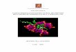 CARACTERITZACIÓ ESTRUCTURAL DE PÈPTIDS DELS DOMINIS … · 2001-09-21 · d’histones internes i del segment de DNA que resisteix una digestió extensiva per nucleasa micrococal,
