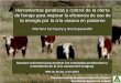 Herramientas genéticas y control de la oferta de forraje ... LB/Programa Carne y... · composicion corporal en el ciclo productivo de la vaca tamaÑo y “actividad” de las visceras