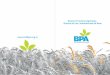 Buenas Prácticas Agrícolas: Síntesis de los Lineamientos ... · La implementación de las Buenas Prácticas Agrícolas (BPA) tiene como objetivo producir alimentos sanos, inocuos