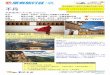 不丹 - Hong Thai Travel Services · 3. 服務費包括：不丹全程服務費為5 天usd80 (包括：不丹導遊全程之服務費usd40 及不丹司機全程之服務費usd40)，已包括當地導遊、旅遊車司機及旅行社相關人員之全程服務費，