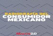 RADIOGRAFêA DEL CONSUMIDOR MEXICANOpedronni.weebly.com/uploads/2/6/4/2/2642906/... · ¥ Invertir y mejorar los CRMÕs con el Þn de incluir informaci n que mejore la comunicaci
