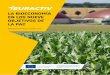 LA BIOECONOMÍA EN LOS NUEVE OBJETIVOS DE LA PAC€¦ · biocombustibles a cualquier tipo de industria europea basada en la bio-producción. La estrategia de bioeconomía europea