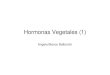 Clase 3 Hormonas Vegetales (1) - Fisiología Hortícola · 2008-09-07 · Hormonas Vegetales (1) Angela Blanco Balbontín. Auxinas. Auxinas • Ultima parte del siglo XIX, Ch. Dawin