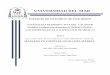 UNIVERSIDAD DEL MARcoralito.umar.mx/tesis/MEM/CD948.pdf · 2020-05-05 · universidad del mar divisiÓn de estudios de posgrado estrategia reproductiva del calamar dardo lolliguncula