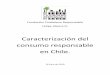 Fundación Ciudadano Responsable Felipe Ubeira O. · a través de la encuesta UDP 2009. Objetivos específicos: 1) Replicar los grupos de consumidores y los tipos de consumo basado