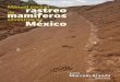 silvestres de México - Earthgonomicearthgonomic.com/biblioteca/2012_CONABIO_Manual_Rastreo_Mam… · mamíferos terrestres. Sin embargo, antes de tratar este tema es per - tinente