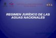 REGIMEN JURÍDICO DE LAS AGUAS NACIONALES · 2014-07-11 · REGIMEN JURÍDICO DE LAS AGUAS NACIONALES . Blanca Alicia Mendoza Vera . Junio, 2014 . ... a los bienes públicos inherentes