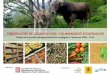 OBSERVATORI DE L’AGRICULTURA I L’ALIMENTACIÓ …pae.gencat.cat/web/.content/al_alimentacio/al01_pae/13... · 2020-05-25 · OBSERVATORI DE L'AGRICULTURA I L'ALIMENTACIÓ ECOLÒGIQUES